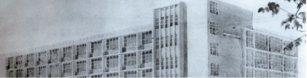 1959년 창성동 신축 교사 전경의 흐림 배경