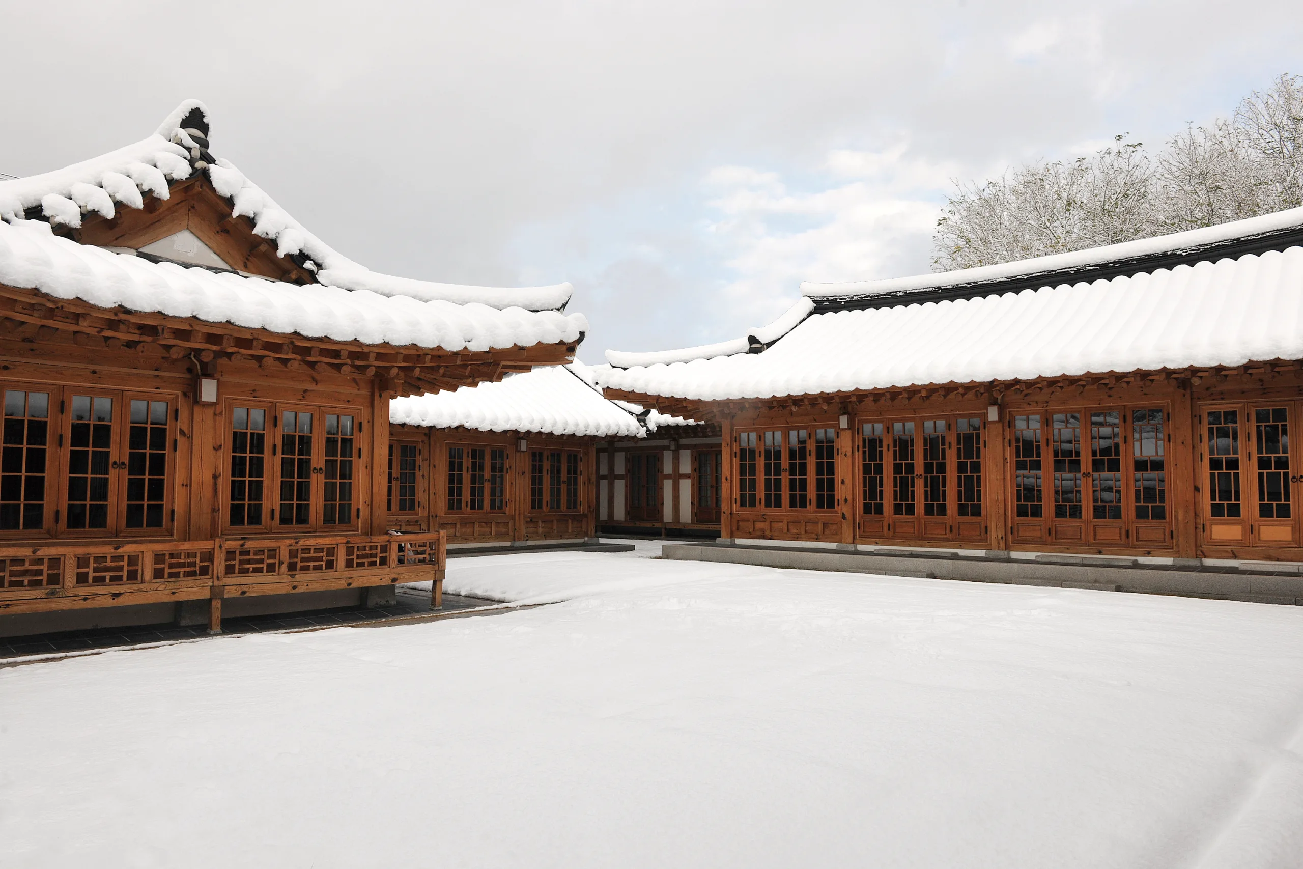 2022년 새롭게 개관한 국민대학교 명원박물관 설경
