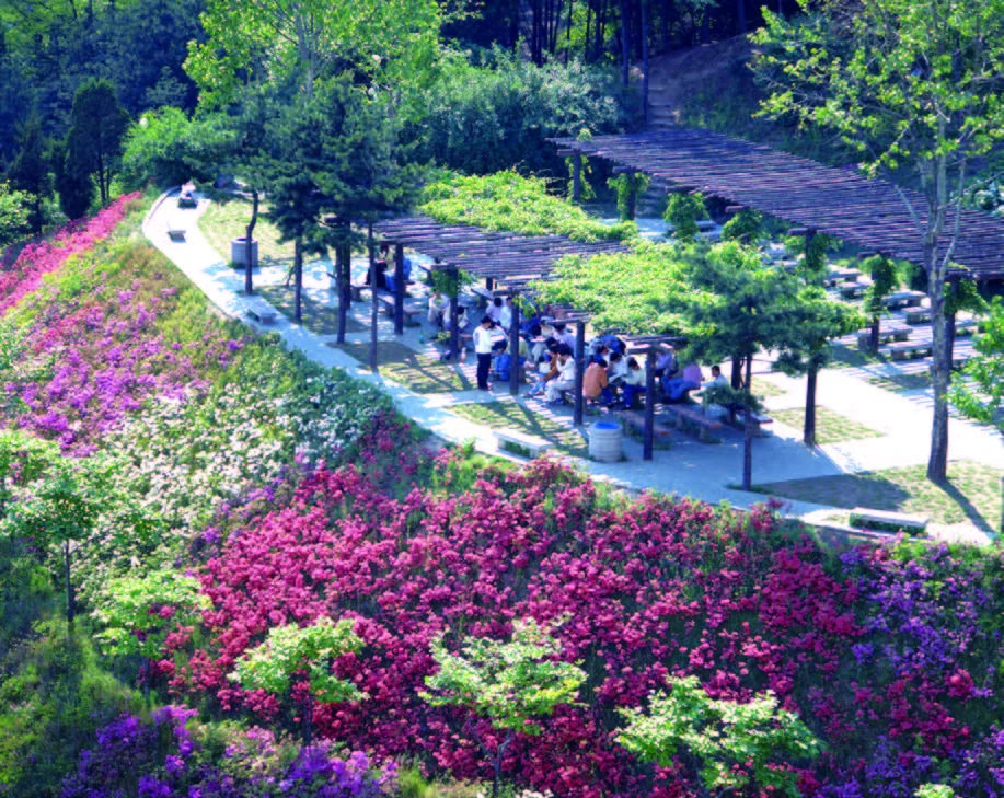 1990년대 초반 성곡동산 전경