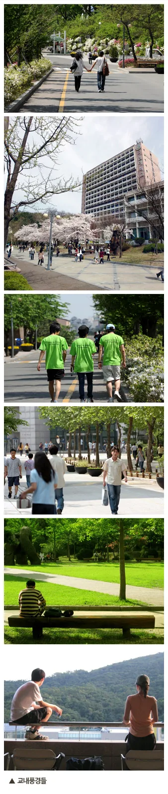 교내풍경들